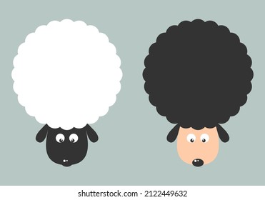 Cute white sheep and black sheep cartoon character flat vector design.