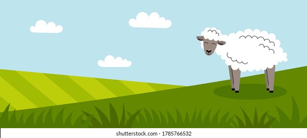 A cute white sheep stands on a green meadow. Farm animals. Summer panorama with a field. Place for your text. Flat cartoon color illustration