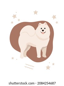 Cute white smiling dog with stars. A beautiful vector Samoyed dog on abstract background.