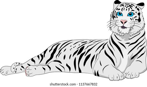 Cute white tiger on the white background