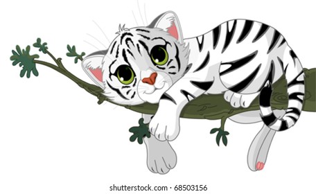 Cute White Tiger Is On A Branch