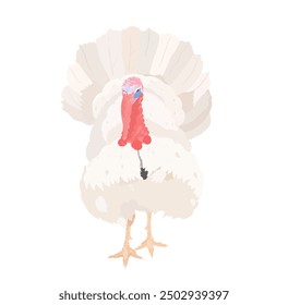 Cute white Turkey bird vector character illustration. Cartoon livestock farm poultry, wild nature animal isolated clipart.