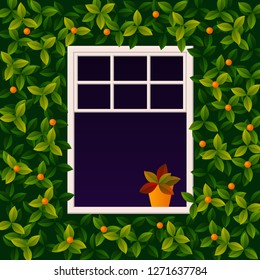 Cute white window, outdoor view.The wall is covered with climbing plant with orange berries. Flower in pot stands on the windowsill. Spring or summer time vector illustration.