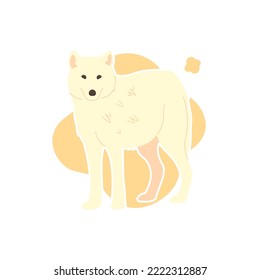 Cute White Wolf isolated vector image