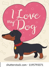 Cute Wiener Dog Or Dachshund With Heart Shaped Bubble Speech In Love With His Master, Showing True Love Between Humans And Animals.