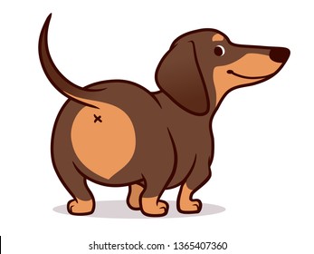 Cute wiener sausage dog vector cartoon illustration isolated on white. Simple  drawing of friendly chocolate and tan dachshund puppy, rear view. Funny doxie butt, dog lovers, pets, animals theme.