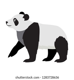 Cute wild animal, black and white fluffy panda icon, big kind bear, vector illustration isolated on white background