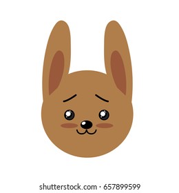 cute wild animal face with expression