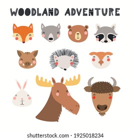 Cute wild animal faces clipart collection, isolated on white. Hand drawn vector illustration. Woodland elements set. Scandinavian style flat design. Concept for kids fashion, textile print, poster