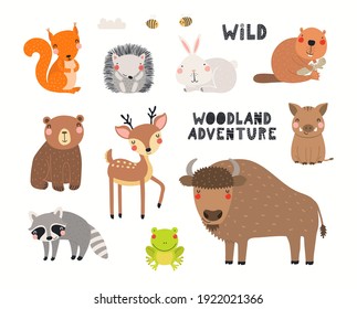 Cute wild animals clipart collection, isolated on white. Hand drawn vector illustration. Woodland elements set. Scandinavian style flat design. Concept for kids fashion, textile print, poster, card