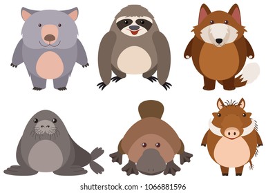 Cute Wild Animals on White Background illustration