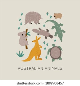 Cute wild Australian animals - Vector illustration. Koala, platypus, echidna, kangaroo, crocodile, turtle. Cartoon doodle characters in scandinavian style for children