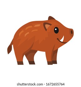 Cute wild boar cartoon on white background, vector illustration