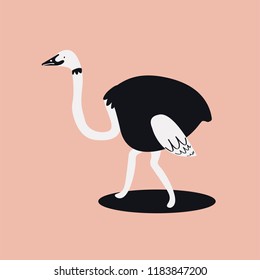 Cute wild common ostrich cartoon illustration