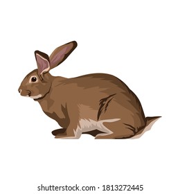 cute wild rabbit animal nature icon vector illustration design