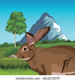 cute wild rabbit in the landscape vector illustration design