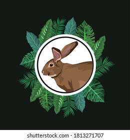lindo conejo salvaje en hojas diseño de ilustración de vectores de marco