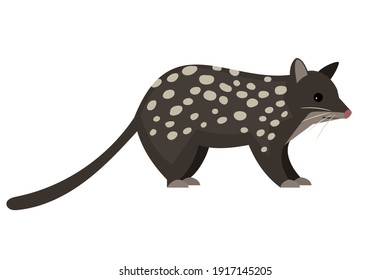 Cute wild rodent. Cartoon fluffy exotic animal, funny tasmanian quoll, vector illustration of night predator with spots isolated on white background