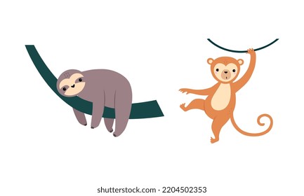 Cute wild safari African animals set. Sloth and monkey jungle animal cartoon vector illustration