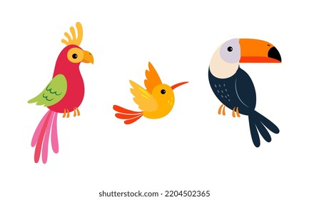 Un juego de aves salvajes y salvajes. Ilustración vectorial de dibujos animados loro, toucan, colibrí