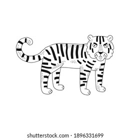  Cute wild stripy tiger cat isolated illustration. Cartoon jungle animal black and white childish graphic drawing Perfect for one colour silk screen printing t-shirt design