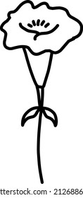 Cute wildflower on a white background