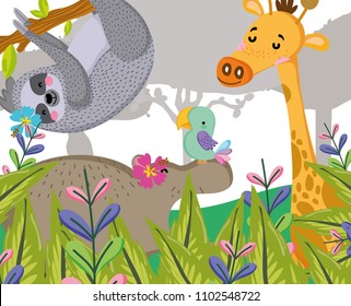 Cute wildlife animals