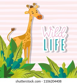 Cute wildlife animals cartoons