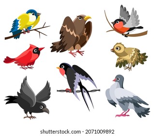 Aves silvestres adorables. Ilustración vectorial del conjunto de aves de invierno y jardín, elementos de especies de aves de corral para niños aislados en fondo blanco