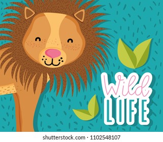 Cute wildlife lion cartoon