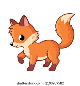 Cute wind fox is standing on a white background. Fox cub on a white background.