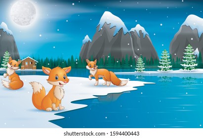 Cute winter foxes enjoying falling snow