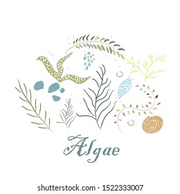 Cute Winter Icon with algae. Hand Drawn Scandinavian Style. Vector Illustration