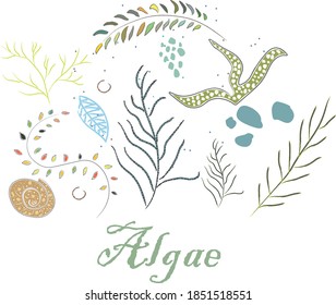 Cute Winter Symbol mit Algen. Handgezeichneter skandinavischer Stil. Vektorgrafik