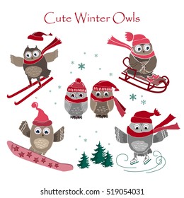 Cute winter owls collection. Winter sport and owls. Vector illustration