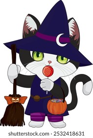 Cute witch cat with candy and broomstick halloween character vector