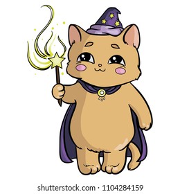 it is cute wizard cat 