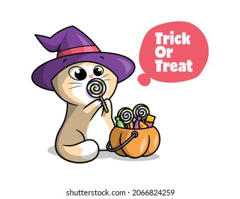 A CUTE WIZARD CAT IS LICKING A LOLLIPOP. HALLOWEEN ILLUSTRATION.