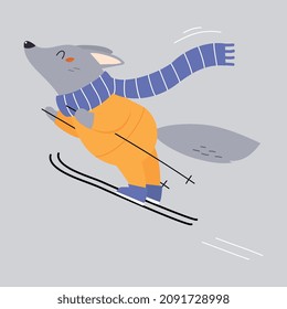 Cute Wolf Animal Wearing Warm Scarf Skiing Enjoying Winter Season Vector Illustration