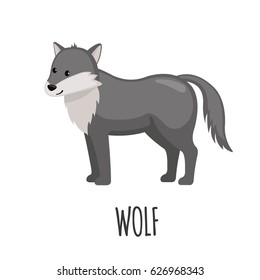 Cute Wolf in flat style isolated on white background. Vector illustration. Forest animal. Cartoon wolf.