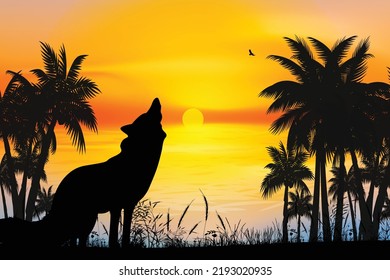 cute wolf and sunset silhouette graphic