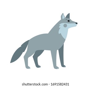 Cute wolf vector, forest animal illustration.