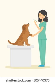 Cute woman veterinarian examines dog breed golden retriever. In her hand she holds a syringe. Vector illustration