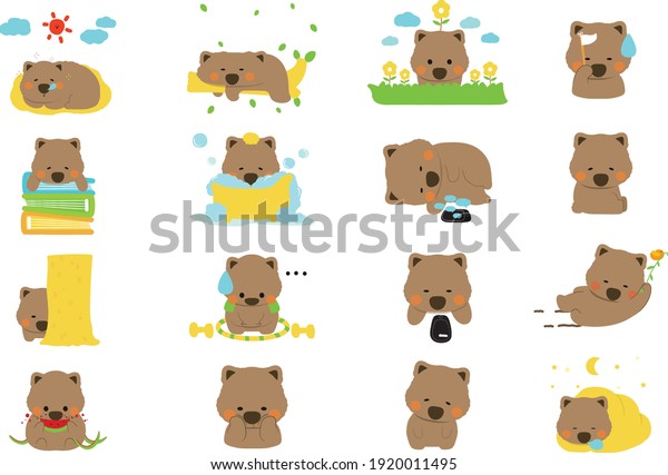 Cute Wombat Cartoon Vector Set Stock Vector (Royalty Free) 1920011495 ...