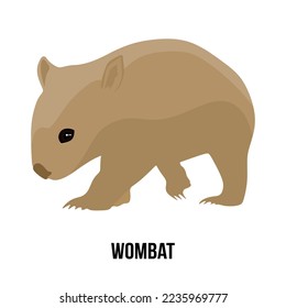 Cute wombat, flat illustration Australian wombat. Wombat vector isolated on white background 