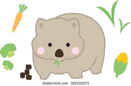 cute wombat flat style cartoon vector