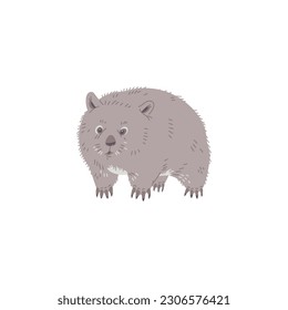 Cute wombat hand drawn flat vector illustration isolated on white background. Exotic Australian marsupial animal. Native animal of Australia. Concepts of zoo and kids education.