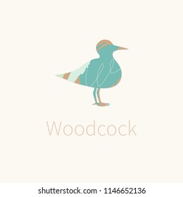 Cute woodcock. Vector illustration