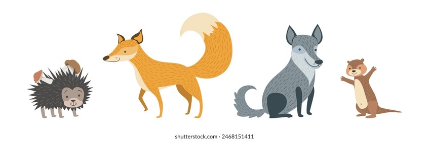 Cute Woodland Animal and Wild Fauna Vector Set