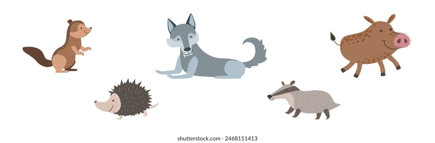 Cute Woodland Animal and Wild Fauna Vector Set